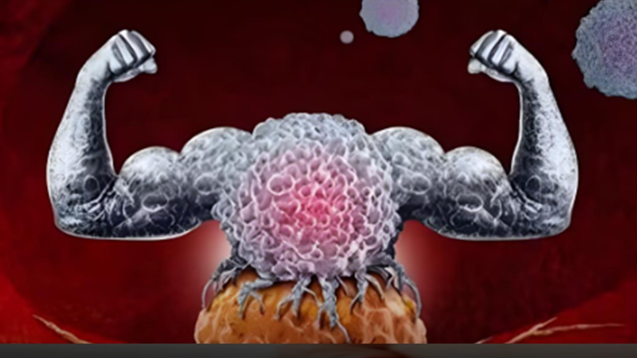 CAMUFLAGEM: Cientistas do MIT desenvolvem técnica que 'desmascara' células cancerígenas