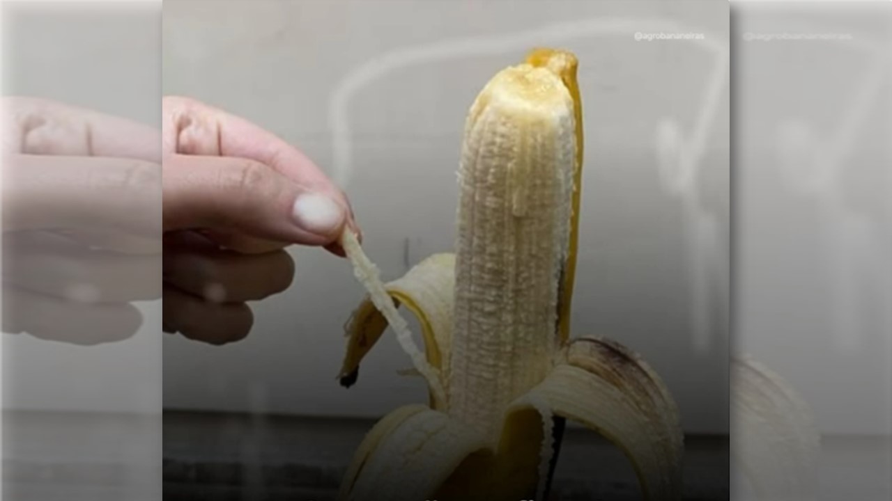 PODE COMER: Fios da banana são nutritivos e fazem bem à saúde, apontam especialistas