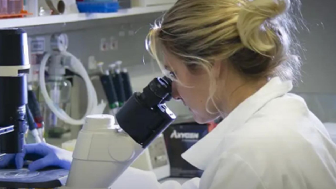 MAIS EMPREGOS: Governo Lula investe R$ 3,3 bilhões para regatar as indústrias brasileiras