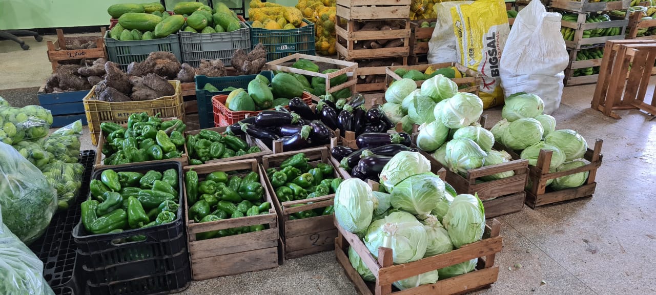 VILHENA: SEMAGRI realiza lançamento do Programa Municipal de Aquisição de Alimentos (PMAA)