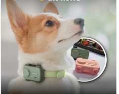 ALÔ! É VOCÊ?: Coleira permite cachorro fazer ligação para o tutor 