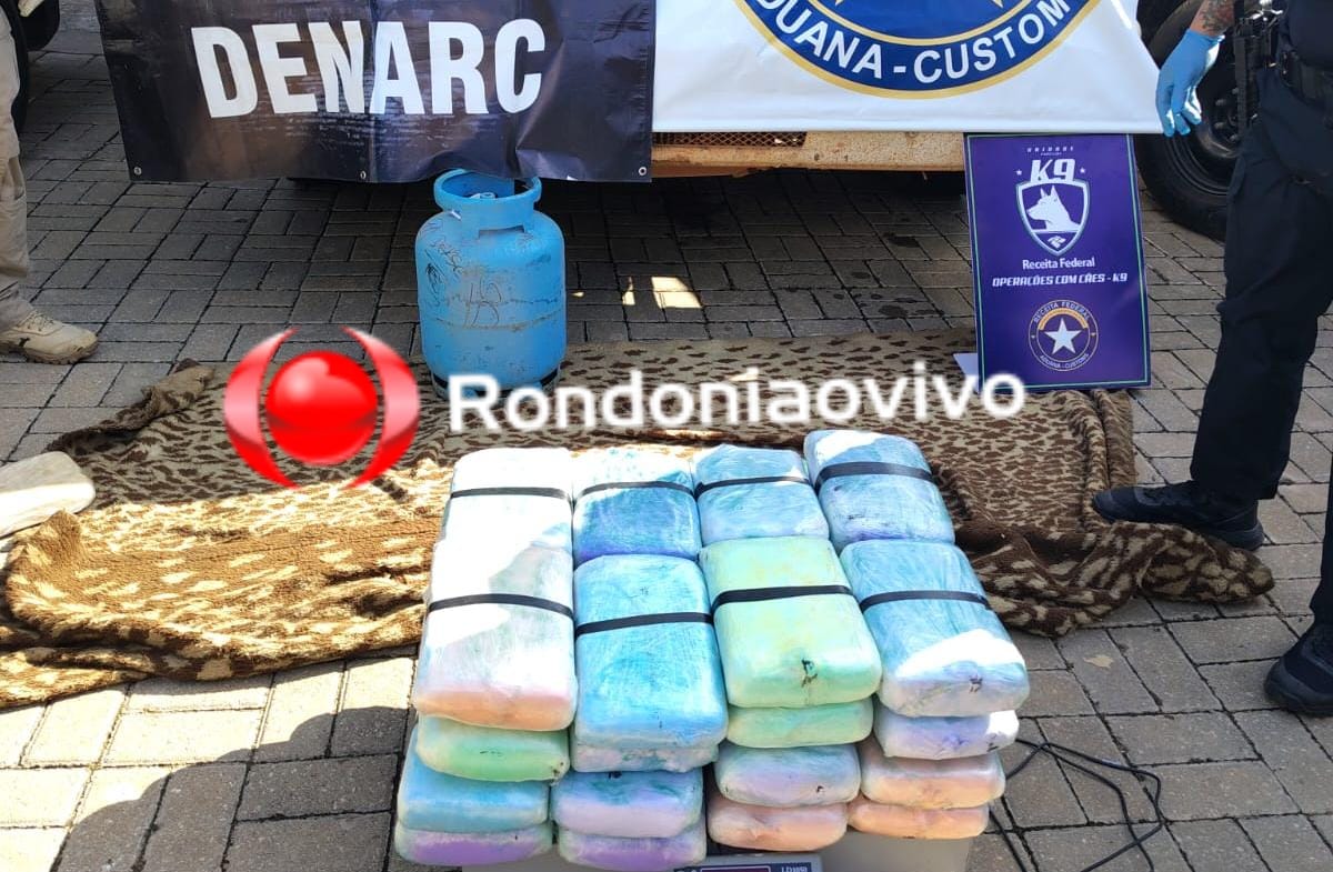 NA BR-319: ​Caminhoneiro é preso com mais de 70 kg de 'skunk' escondidos em mudança
