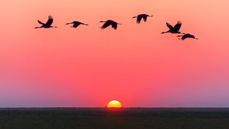 NATUREZA: Aberto edital para fortalecer o turismo de experiência no Brasil