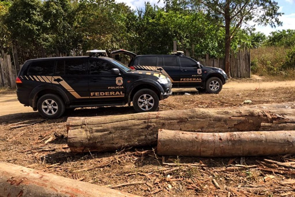 OPERAÇÃO: PF combate extração ilegal de madeira em terra indígena