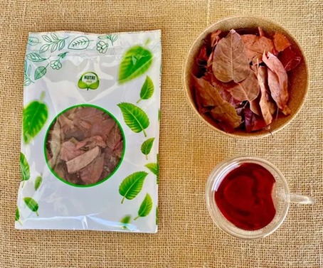 CRAJIRU: Planta amazônica une tradição medicinal e pesquisa científica 