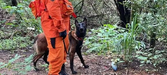 RESGATE: Mulher é localizada em área de mata após buscas em Vilhena