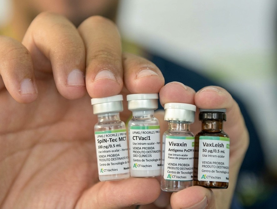 P VIVAX: Vacina brasileira contra malária inicia etapa de testes em humanos