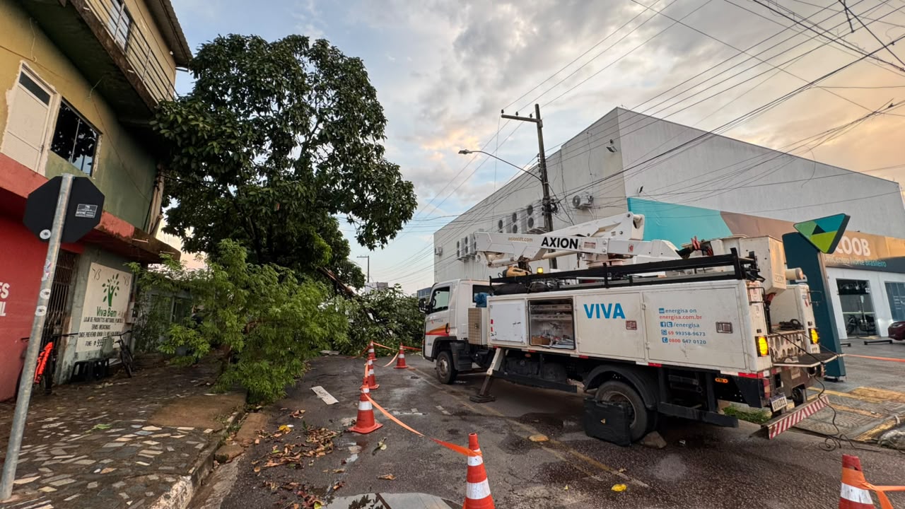 EDIMILSON DOURADO: Vereador solicita poda preventiva de árvores na Zona Sul