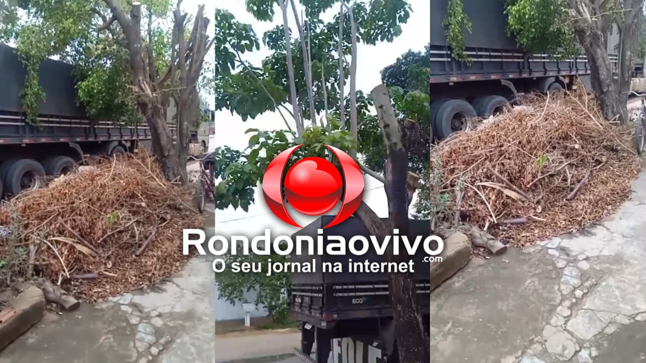 PEDIDO DE PROVIDÊNCIA: Galhos cortados há 15 dias acumulam sujeira e causam perigo na Rua Uruguai