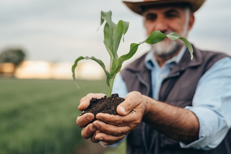 BENEFÍCIOS: Programa de Seguro Rural apresenta novidades no Plano Safra