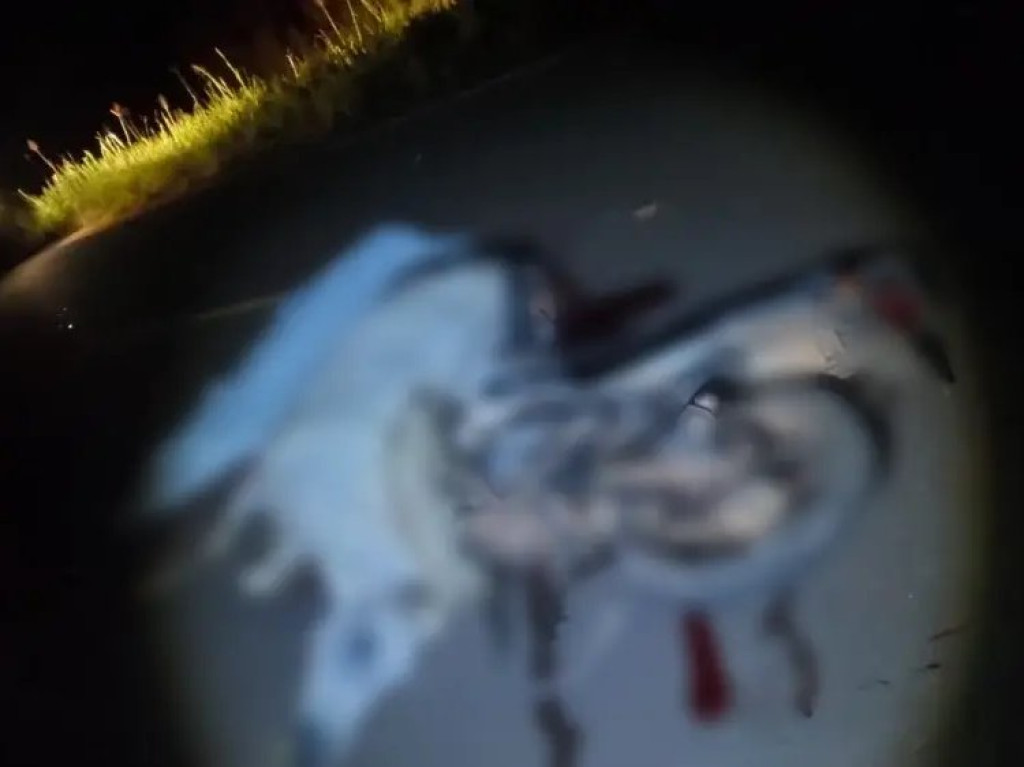 CORUMBIARA: Adolescente morre após colisão com animal na Rodovia do Boi 