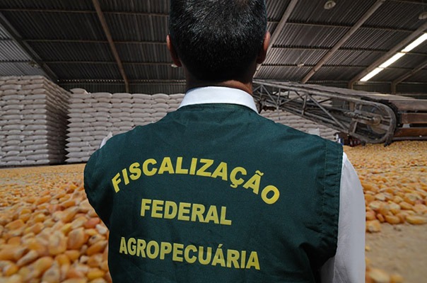 R$ 8.300,00: Ministério da Agricultura está com processo seletivo para vagas em várias áreas