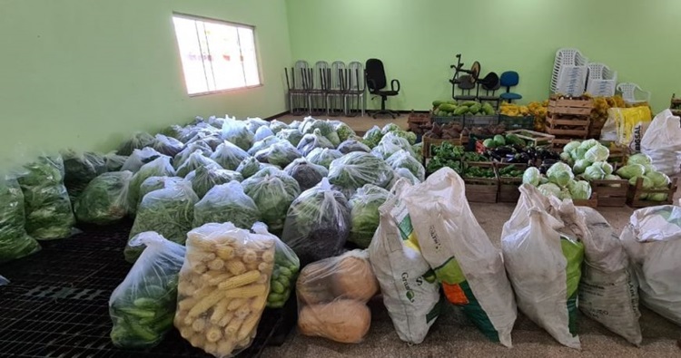 AGRICULTURA FAMILIAR: Produtores enviam propostas para participar do PAA Estadual