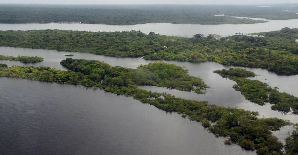 CRIMES AMBIENTAIS: Força-Tarefa em Defesa da Amazônia permanecerá mais um ano na região