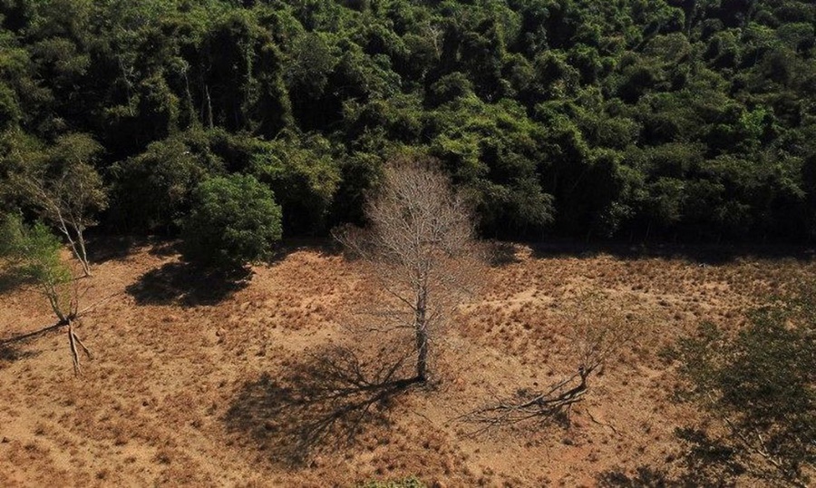 DEVASTAÇÃO: Desmatamento bate recorde de alertas na Amazônia e no Cerrado