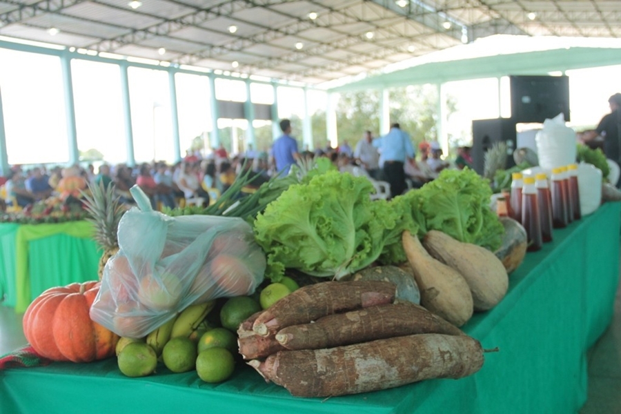 AGRICULTURA: Profissionais garantem qualidade e produção agrícola em Rondônia