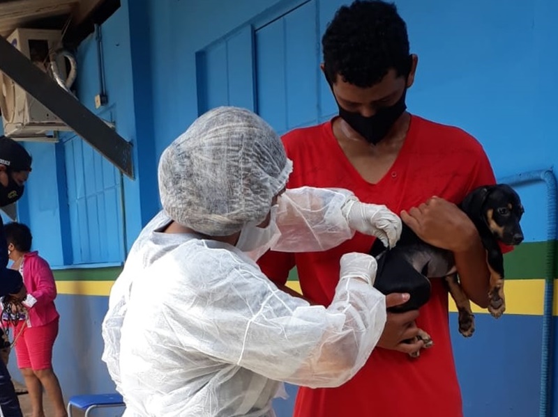 ANTIRRÁBICA: Quem tem mais de 10 animais domésticos pode solicitar a vacinação agendada