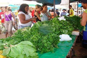 Horário de feiras livres são fixados pela prefeitura municipal