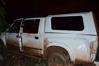 PRESIDENTE MÉDICI – Animal na pista causa acidente na BR 364