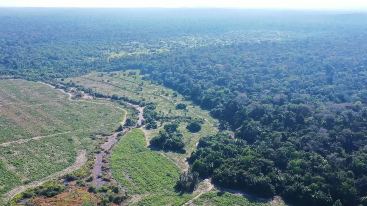 FOCO EM CARBONO: Empresa brasileira vence concessão de restauração na Flona Bom Futuro, em RO
