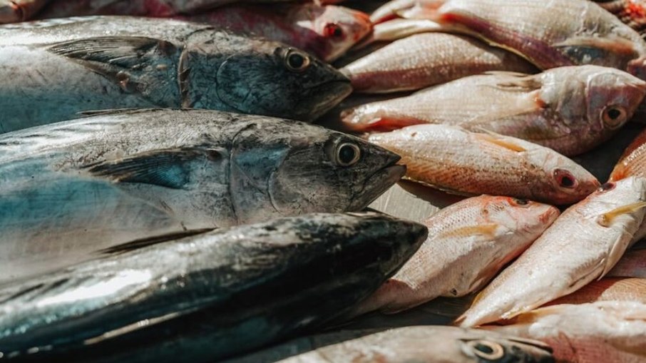 PEIXE NA SEMANA SANTA: Pesquisa aponta variação de até 137% em Santa Catarina