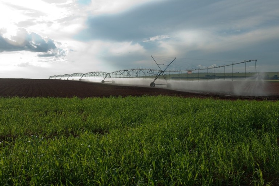 AGRO: BNDES anuncia mais R$ 3 bilhões para crédito pelo Plano Safra