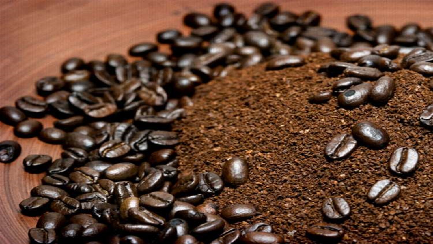 MELHORIA: Debate sobre nova norma padrão de classificação para café torrado