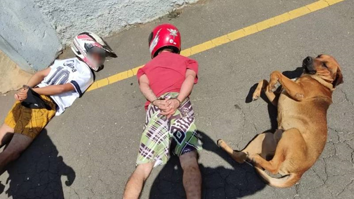 SE RENDEU: Cachorro deita no chão junto com suspeitos durante abordagem da PM