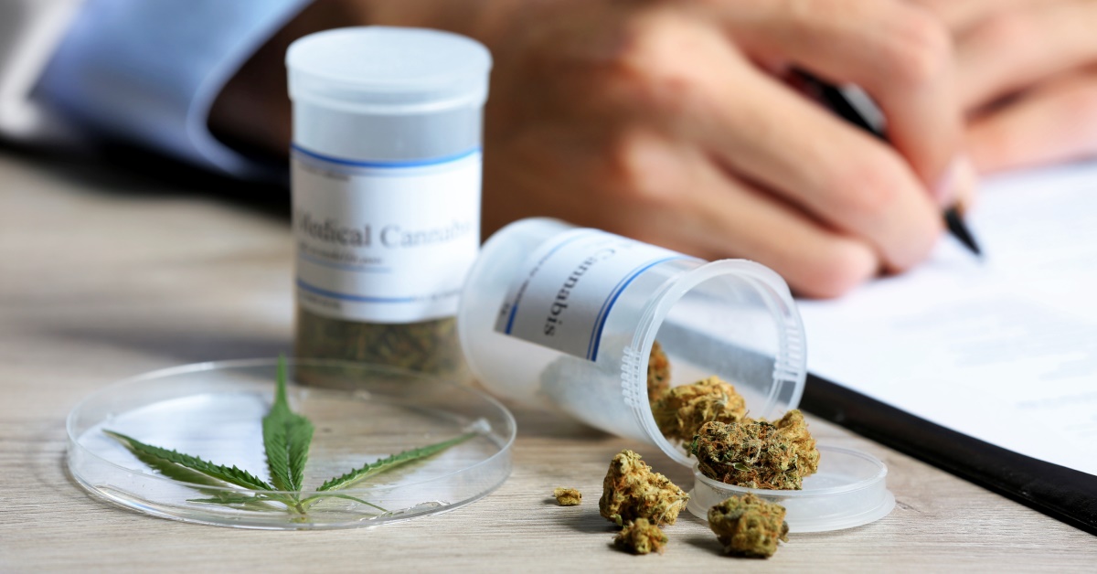 SAÚDE: Anvisa libera o décimo produto medicinal à base de cannabis
