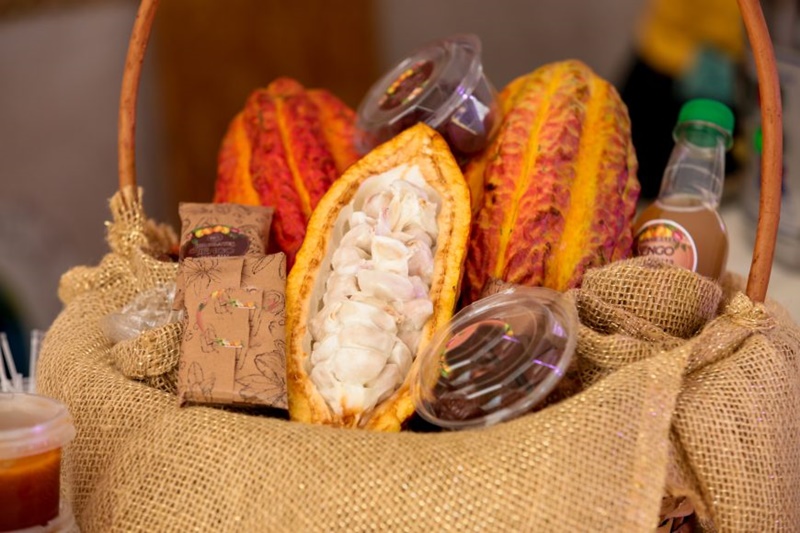 CAMINHOS DA PRODUÇÃO: Cadeia produtiva do agro de RO é mostrada na Rural Show Internacional