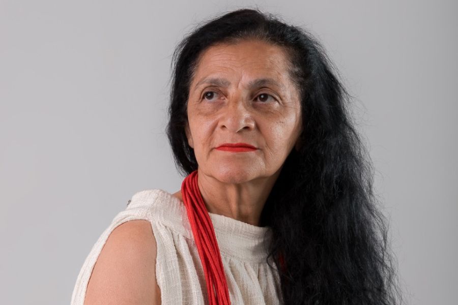 ELEIÇÕES 2026: Neidinha denuncia falta de mulheres e indígenas no Congresso Nacional