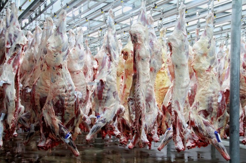 MERCADO EUROPEU: Potencial da bovinocultura de RO chama atenção de comissão espanhola