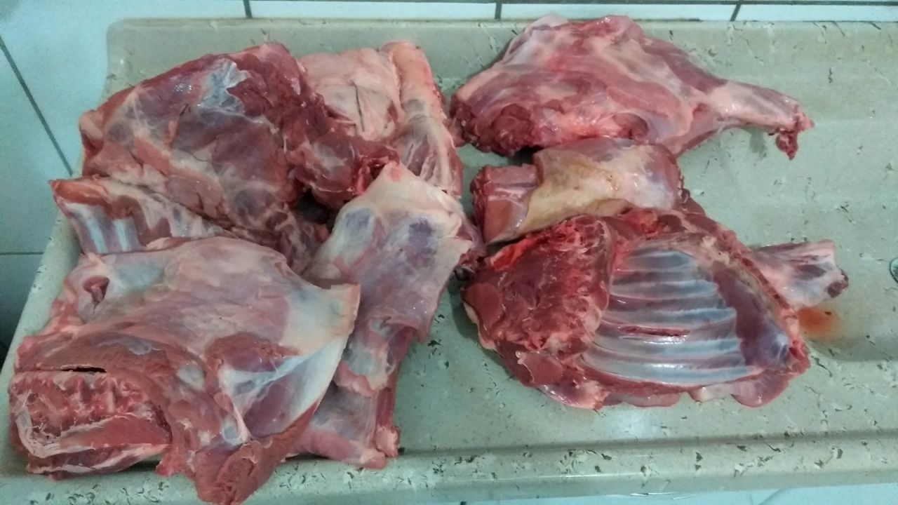 CRIME AMBIENTAL: Homem é preso pela PM acusado de abater animais silvestres