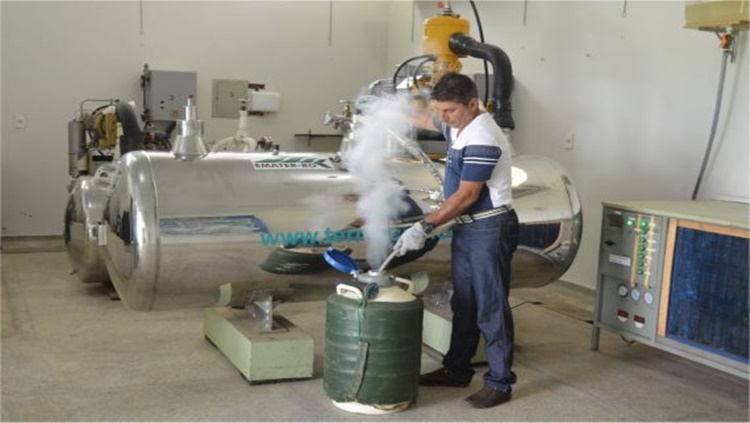 GADO LEITEIRO: Caminhão criogênico é entregue para contribuir com o desenvolvimento genético de RO