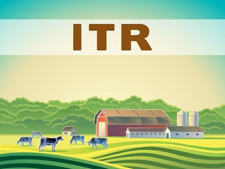PRAZO: Entrega da declaração do ITR 2020 inicia na próxima segunda (17)