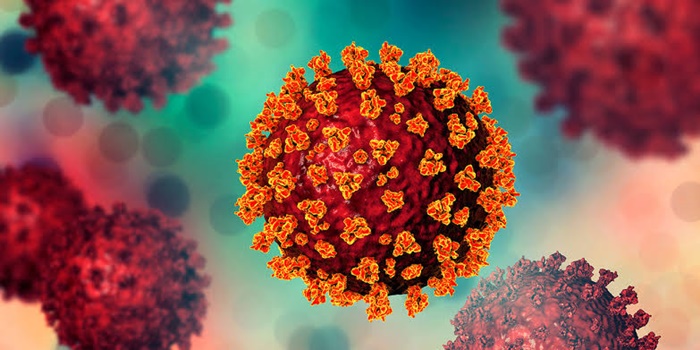 CORONAVÍRUS: Rondônia registra 265 casos e 4 pacientes aguardam por leitos de UTI