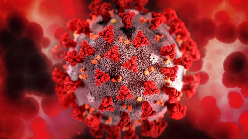 EM APENAS UM DIA: Rondônia tem 2.741 novos casos e 16 mortes por covid-19