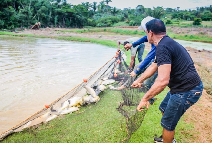 PESCADO: Período do defeso de Tambaqui e Pirarucu é prorrogado