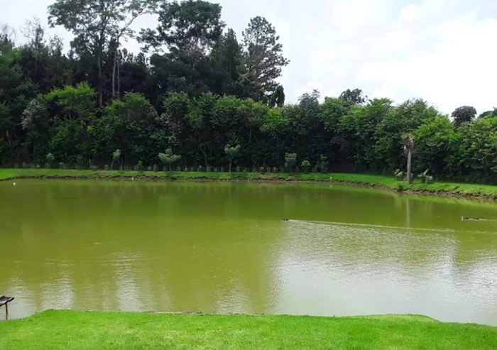 PISCICULTURA: Peixe saudável é tema de palestra para reforçar ações