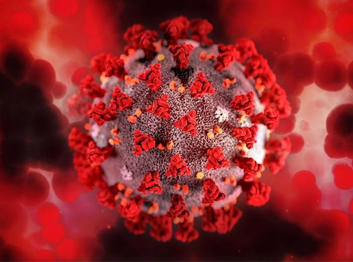 BOLETIM: Rondônia registra 231 casos novos e uma morte por covid-19