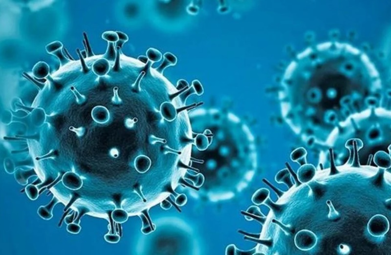 BOLETIM DIÁRIO: Mais 102 casos e uma morte por covid-19 são registrados em Rondônia