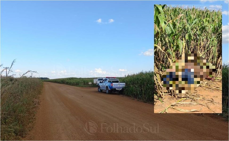 MISTÉRIO: Corpo de homem em estado de decomposição é encontrado em milharal