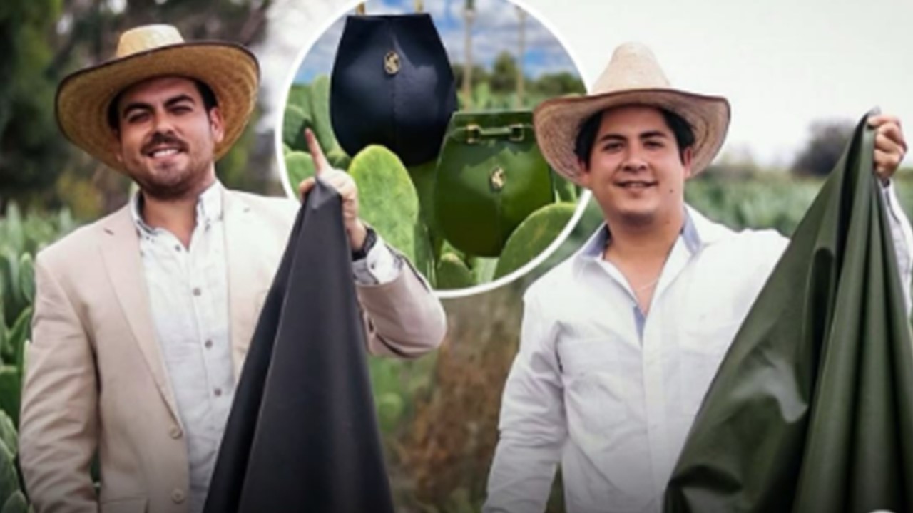 INDÚSTRIA DA MODA: Dois amigos salvam bilhões de animais com a criação de couro a partir de cacto