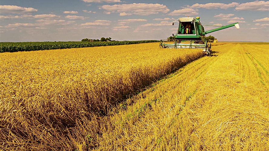 BID anuncia financiamento de R$ 617 milhões para controle de pragas e de doenças