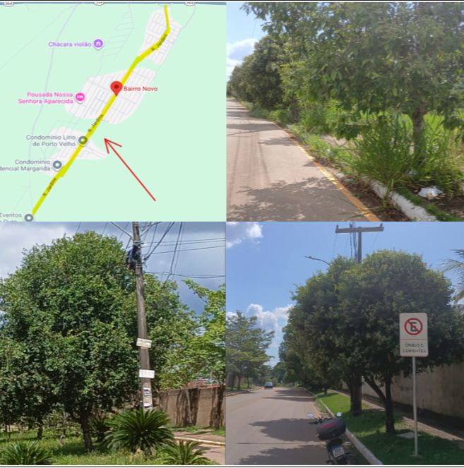 GEDEÃO NEGREIROS: Vereador solicita poda de árvores na Rua Jardins, no Bairro Novo