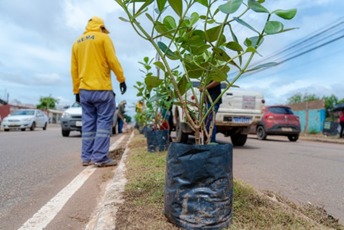 CORREDORES VERDES: Brasil lança Plano Nacional de Arborização Urbana para enfrentar o calor 