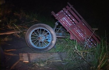 ROLIM DE MOURA - Caminhonete atropela carroça e mata cavalo na RO 0-10