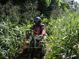 Selva toma conta do leito da E.F.M.M. e pilotos tem dificuldades no percurso - Confira as fotos