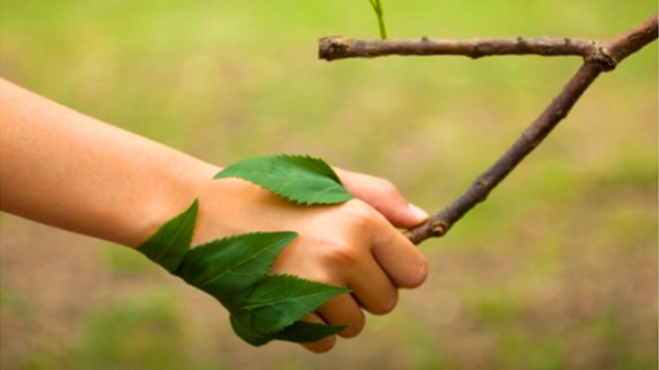 MEIO AMBIENTE: Conexão humana com a natureza reduziu 60% em dois séculos 