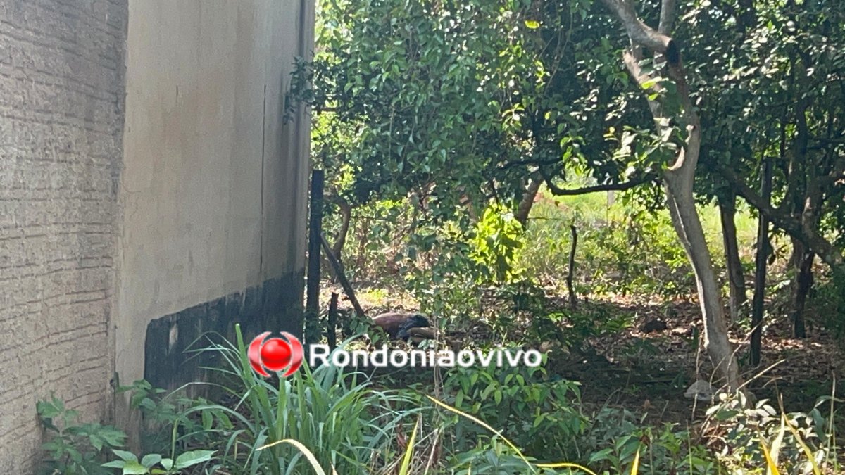 VÍDEO: 'Aqui é CV, aqui é CV', dizem criminosos após execução de homem na zona Leste 